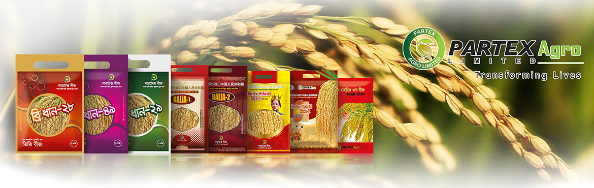 rice-Seed_banner